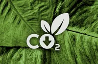 Es una energía baja en carbono